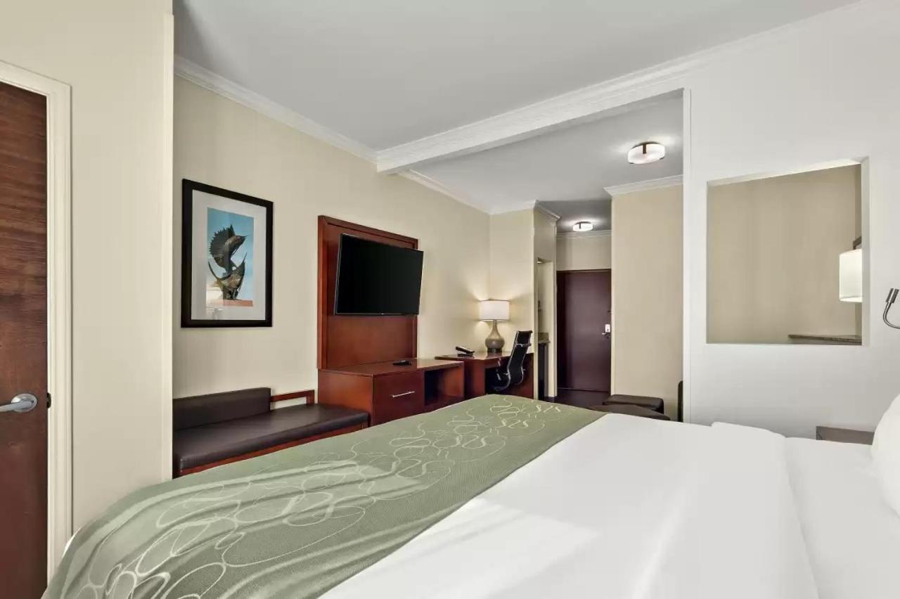 Comfort Suites Central Corpus Christi  Kültér fotó