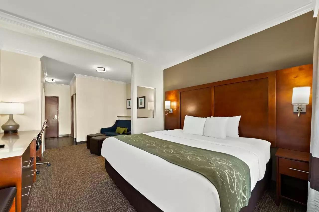 Comfort Suites Central Corpus Christi  Kültér fotó